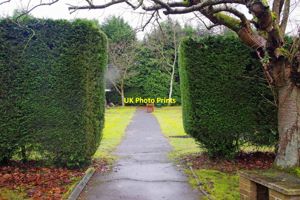 Photo 6"x4" Hedges and path, Wythall Cemetery, Middle Lane, Wythall, Worcs Silver Street\/SP0775 c2017