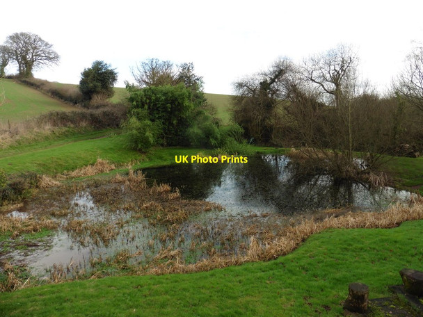 Photo 6"x4" Ancient pond at Courtway Courtway c2017