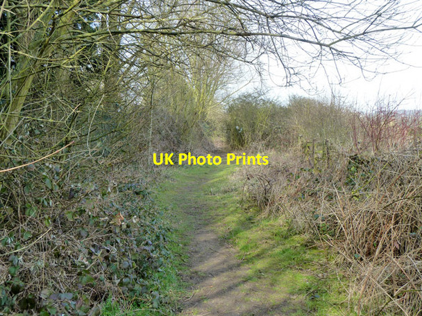 Photo 6"x4" Public footpath near waterworks, Chigwell Row Chigwell c2013
