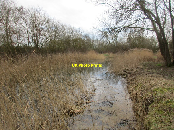 Photo 6"x4" The Grantham Canal above Cotgrave Lock Cotgrave c2017