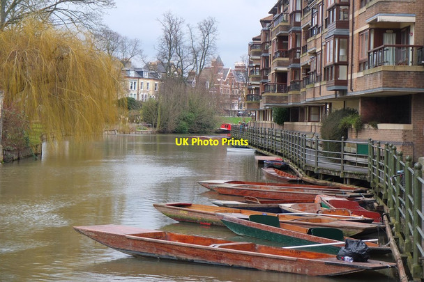 Photo 6"x4" Punts on the Cam Cambridge\/TL4658 c2017