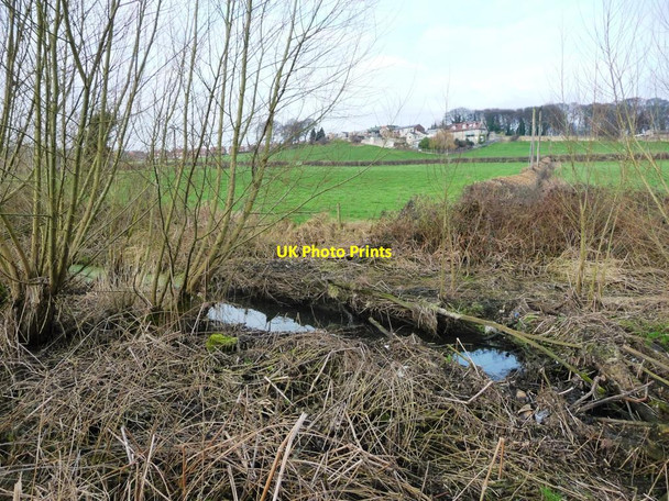 Photo 6"x4" Elsecar branch, Dearne & Dove Canal, below Storey Lock Hemingfield c2017