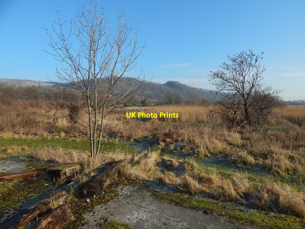 Photo 6"x4" Near the shore at Milton Dumbarton c2017