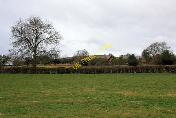 Photo 6"x4" Sheep Cots, Ullingswick Ullingswick c2009