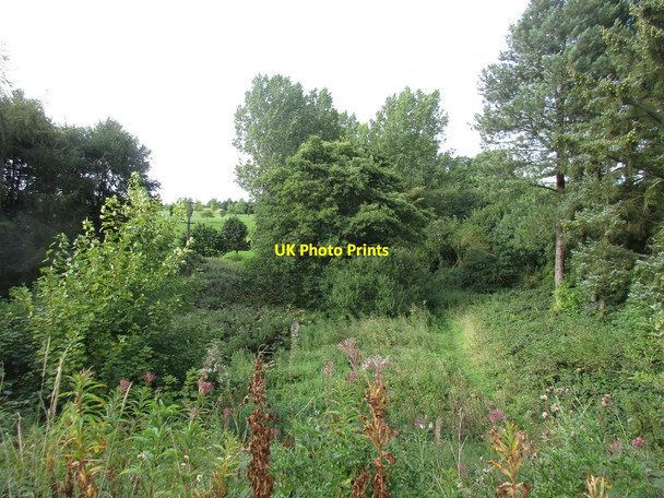 Photo 6"x4" View from the embankment Stretton\/SK9415 c2016