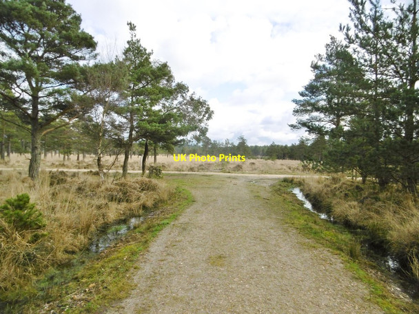 Photo 6"x4" Wareham Forest, road junction Cold Harbour\/SY9089 c2017