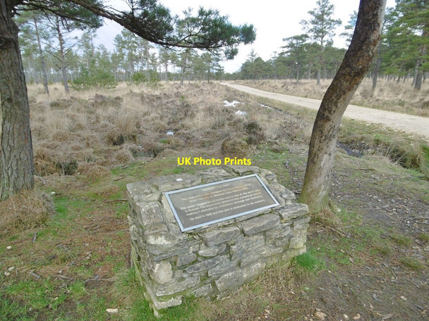 Photo 6"x4" Wareham Forest, memorial Cold Harbour\/SY9089 c2017