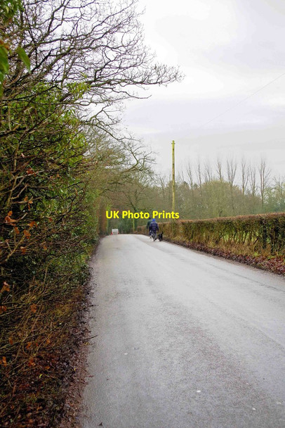 Photo 6"x4" Brock Hill Lane, Forhill, Worcs Forhill c2017