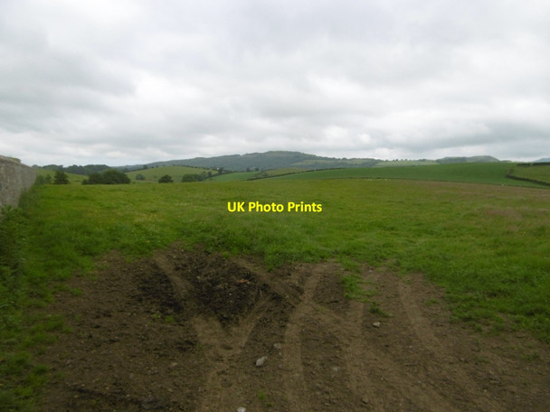 Photo 6"x4" Field near Crosshill Crosshill\/NS3206 c2016