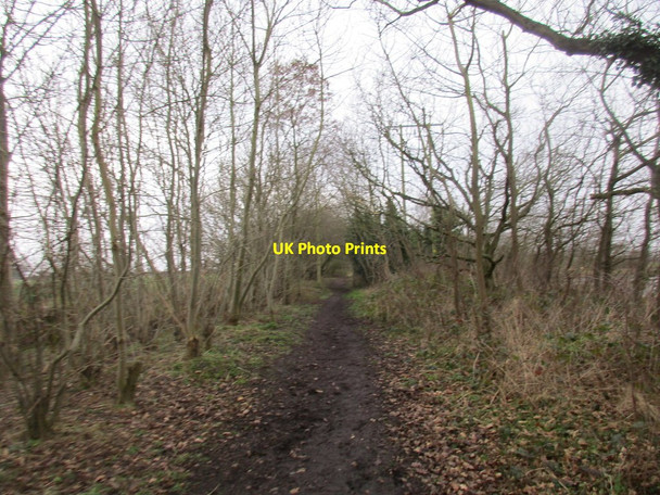 Photo 6"x4" Old Railway Walk Lund\/SE6532 c2017