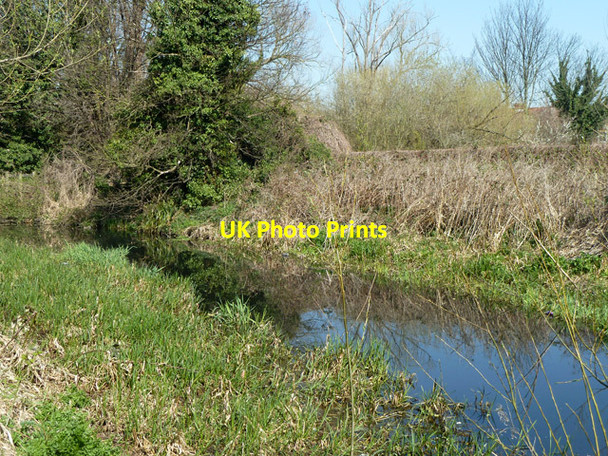 Photo 6"x4" River Wandle Carshalton c2012
