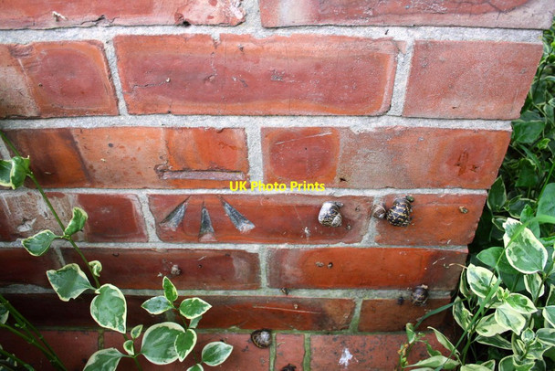 Photo 6"x4" Benchmark on #42 Haig Road Hipswell c2016