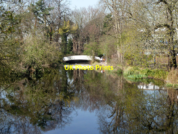 Photo 6"x4" River Wandle Carshalton c2012