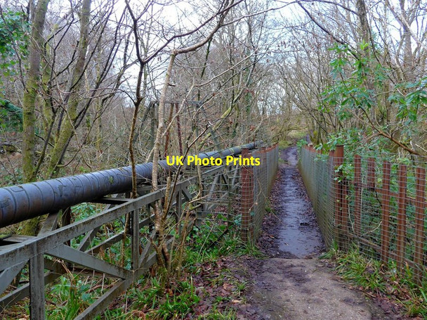 Photo 6"x4" Oakfield Bridge Skelmorlie c2017
