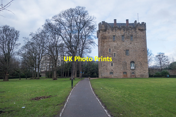 Photo 6"x4" Alloa Tower Alloa c2017