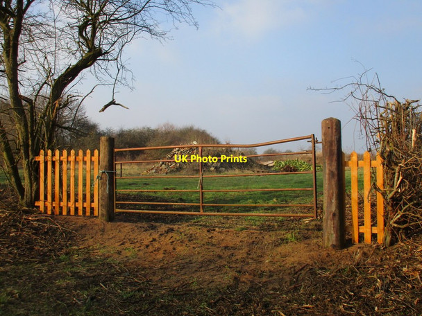 Photo 6"x4" New fencing, old gate Scotterthorpe c2017