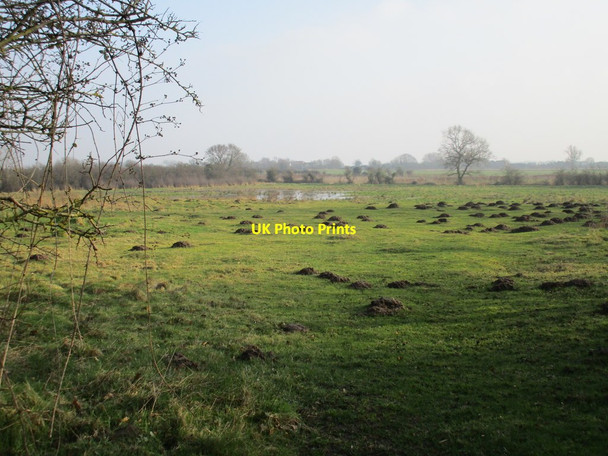 Photo 6"x4" Molehills and flooding Scotterthorpe c2017