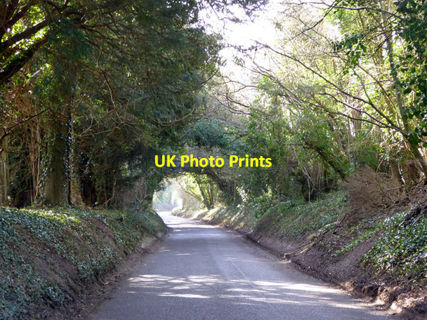 Photo 6"x4" Sparsholt Road Standon\/SU4226 c2017