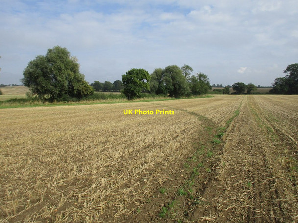 Photo 6"x4" Footpath through a stubble field Bitchfield c2016