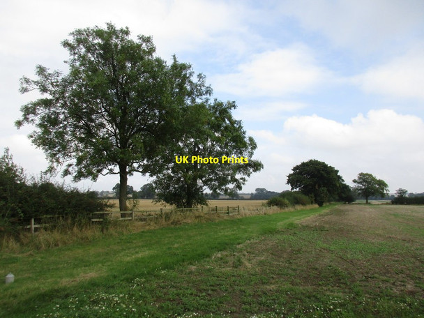 Photo 6"x4" Field edge near Ingoldsby Grange Bitchfield c2016