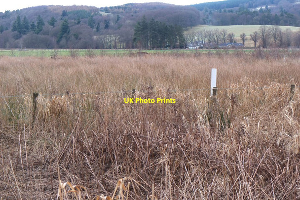 Photo 6"x4" Wetland near Eddleston Eddleston c2017