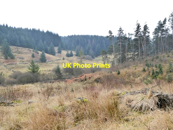 Photo 6"x4" Valley of the Chirdon Burn Ridley Stokoe c2017
