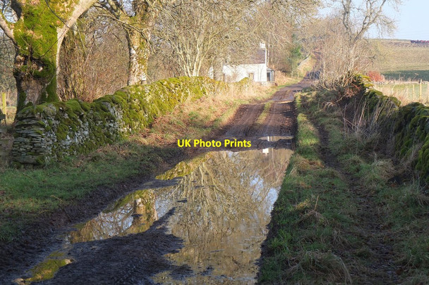 Photo 6"x4" Track at Nether Stewarton Harehope\/NT2044 c2017