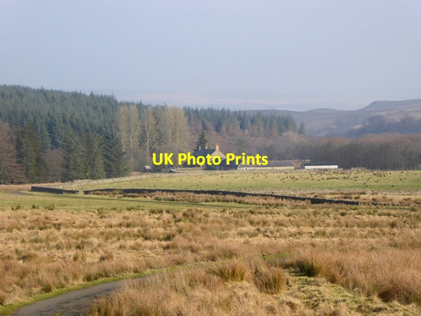 Photo 6"x4" The Bower Farm Eal c2017
