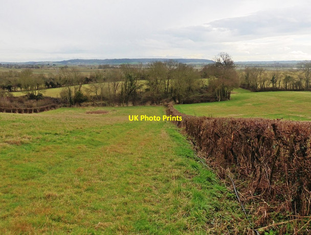 Photo 6"x4" Fields below Pit Hill Moorlinch c2017