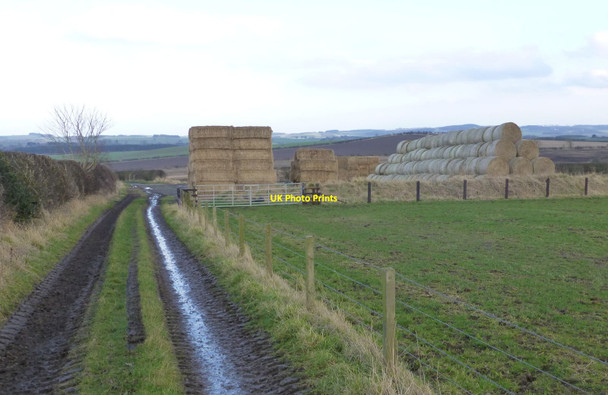 Photo 6"x4" Straw store  New Heaton c2017