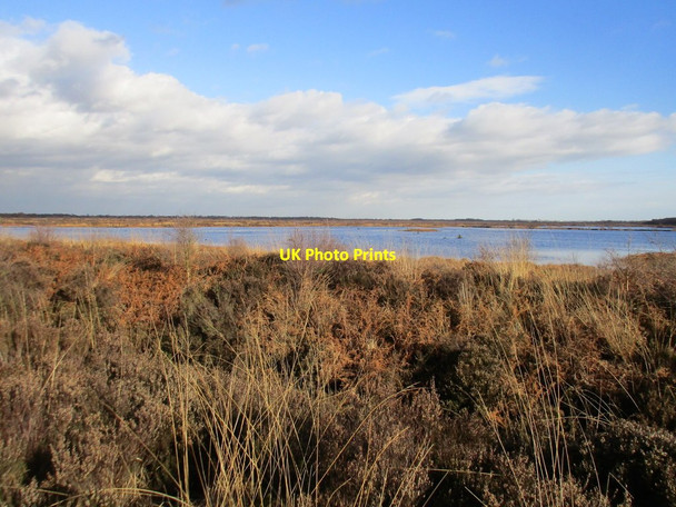 Photo 6"x4" Flooded old peat workings Woodside\/SE7103 c2017