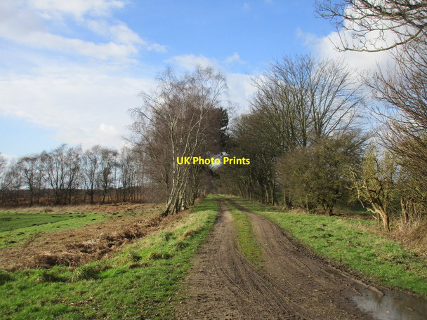 Photo 6"x4" Farm track to Lindholme Tunnel Pits c2017