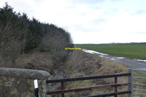 Photo 6"x4" Stream between woodland and soggy arable field New Heaton c2017
