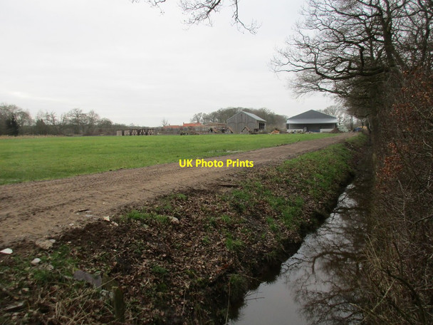 Photo 6"x4" Ross Moor Park Farm Melbourne\/SE7544 c2017