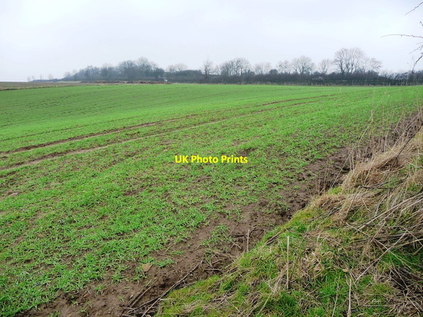 Photo 6"x4" Farmland between the A66 and Dick Scot Lane West Layton c2017