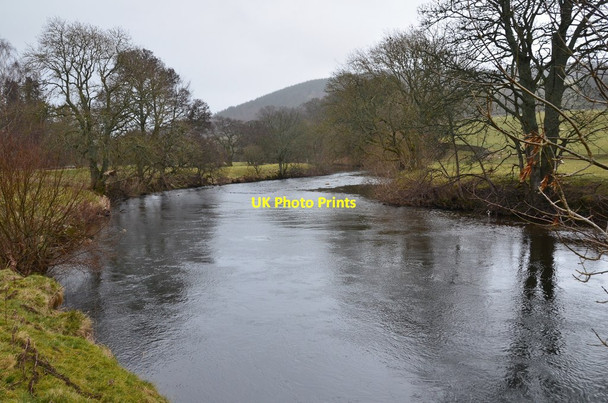 Photo 6"x4" The Tweed near Dawyck Mill Bellspool c2017
