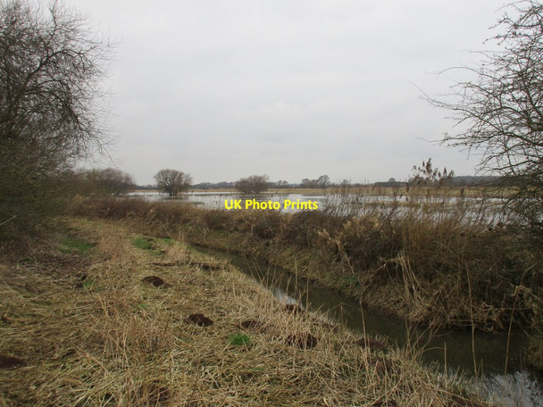 Photo 6"x4" Sop Dike and flooded Ings Thornton\/SE7545 c2017