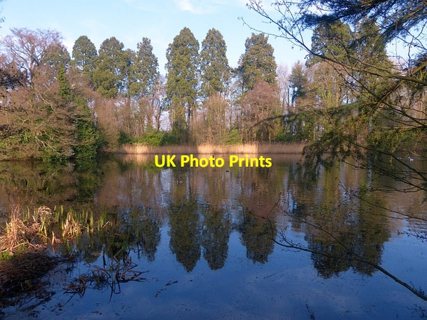 Photo 6"x4" Reflections in the lake, Tredegar House Country Park, Newport Duffryn\/ST2985 c2017
