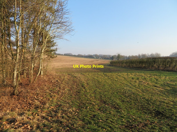 Photo 6"x4" Farmland north of Dummer Down Farm Dummer c2017