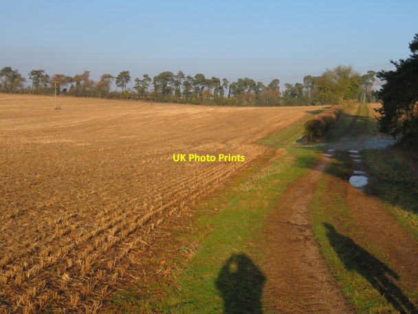 Photo 6"x4" Shadows on a farm track Dummer c2017