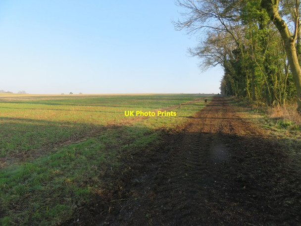 Photo 6"x4" Track by the shelter belt Dummer c2017