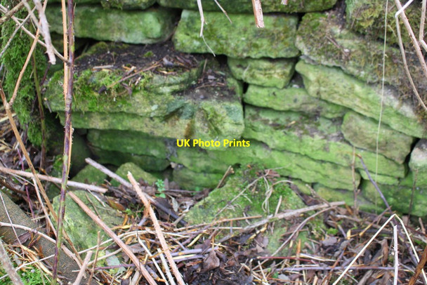 Photo 6"x4" Benchmark on wall beside Fulbrook to Swinbrook road Burford\/SP2512 c2017