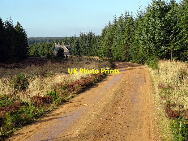 Photo 6"x4" Forestry road from Lochdhu to Altnabreac Altnabreac Sta c2017