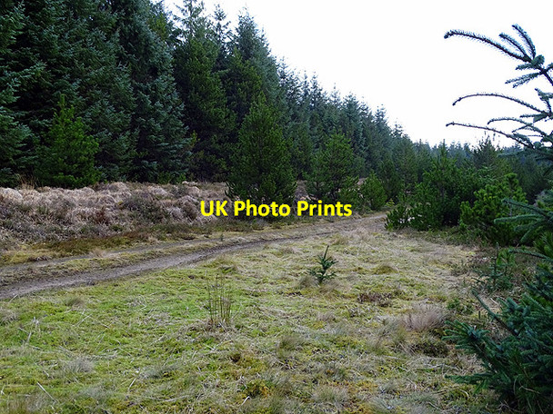 Photo 6"x4" This looks familiar! Loch nam Fear c2017