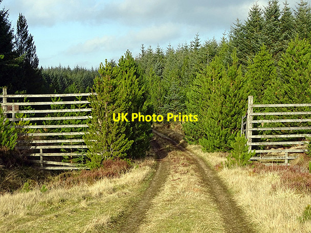 Photo 6"x4" Gate in the deer fence by Loch nam Fear Loch nam Fear c2017