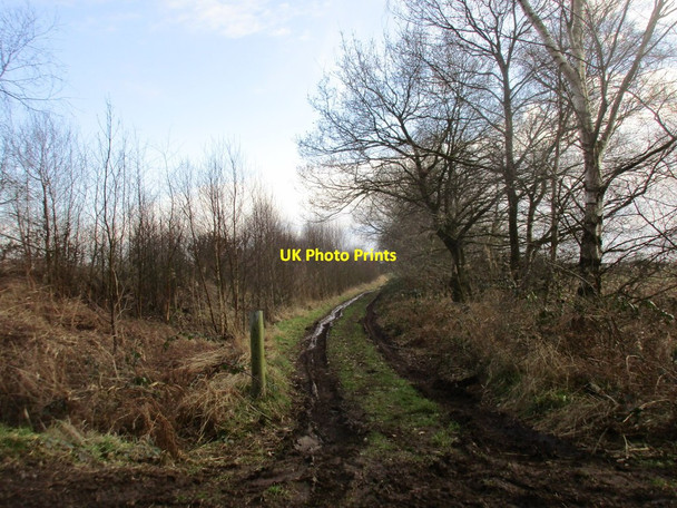 Photo 6"x4" Moor Lane Woodside\/SE7103 c2017
