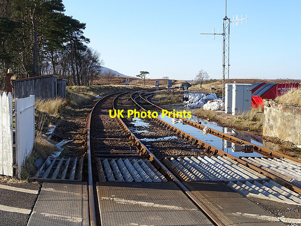 Photo 6"x4" The route south from Forsinard level crossing Forsinard c2017
