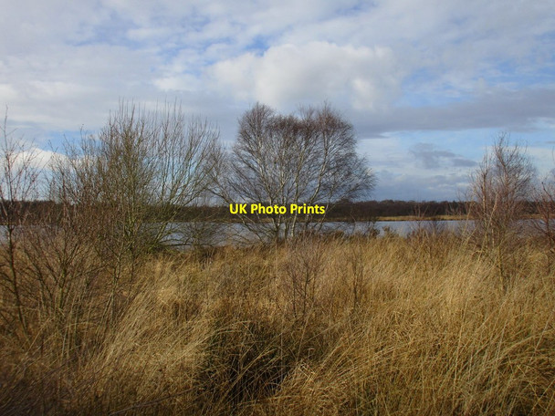 Photo 6"x4" View towards Lindholme Hall Tunnel Pits c2017