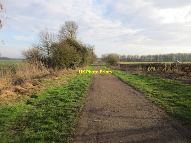 Photo 6"x4" Carr Lane, Tickton Beverley c2017
