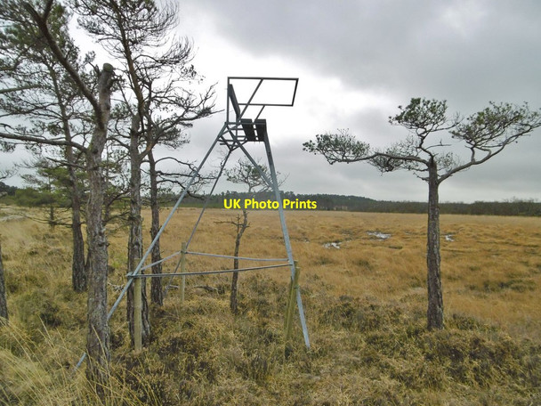 Photo 6"x4" Decoy Heath, high seat (a) Sherford\/SY9193 c2017